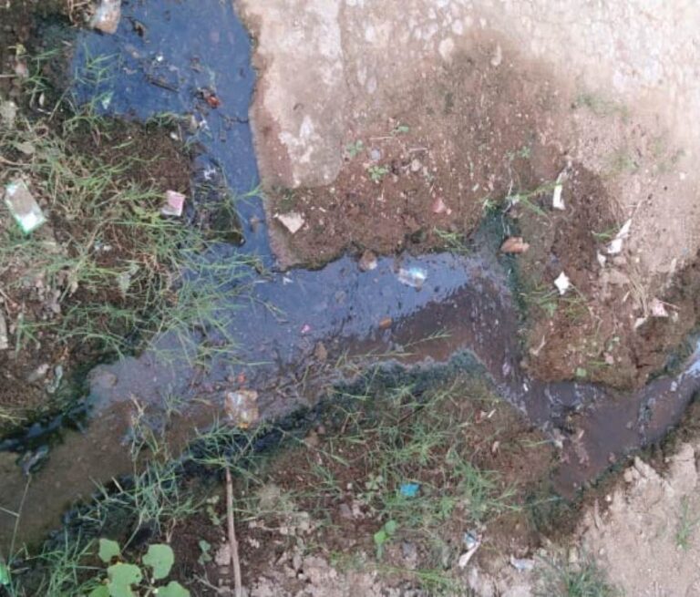सहाव गांव में नालियां चोक, जलभराव और गंदगी से परेशान ग्रामीण