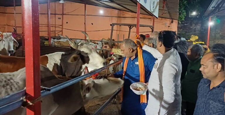 जालौन : ऐतिहासिक मुरलीमनोहर तालाब स्थित श्रीगोवर्धन गोशाला में गोपाष्टमी का पर्व मनाया गया। इस मौके पर गोसेवकों द्वारा सामूहिक रूप से गाय व बछड़ों की पूजा-अर्चना की गई।