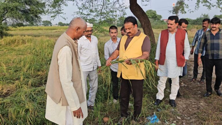 पूर्व विधायक दीप नारायण सिंह ने किसानों से की मुलाकात, फसल बर्बादी पर सरकार से मांगा मुआवजा