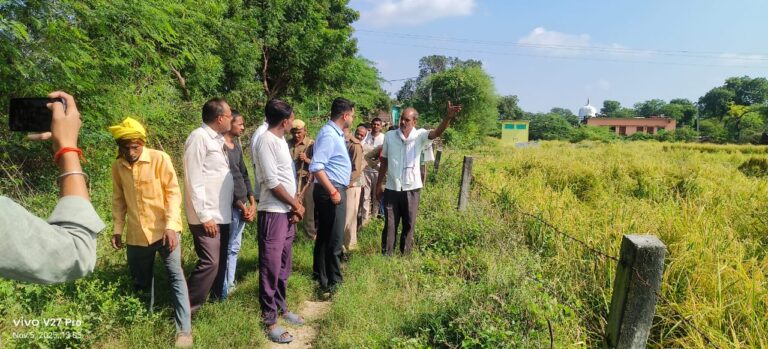 अमरौख गांव में एसडीएम ने किया फसलों का आंकलन