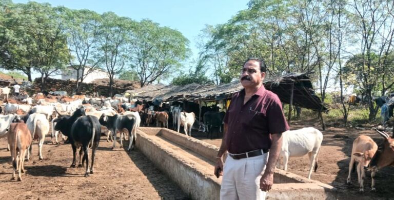 सीवीओ ने बबीना ब्लॉक के ठाकुरपुरा गो आश्रय स्थल का किया औचक निरीक्षण, अव्यवस्थाओं पर जताई नाराजगी