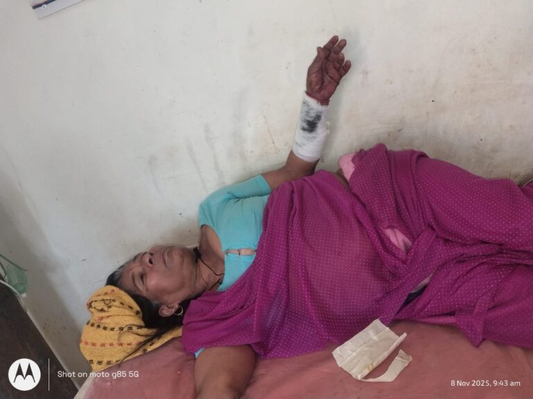 मोंठ। कोतवाली मोठ के ग्राम भ्योरा घाट में खेत पर जा रही एक 55 वर्षीय महिला के ऊपर सियार ने हमला कर दिया! हमले में महिला गंभीर रूप से घायल हो गई।