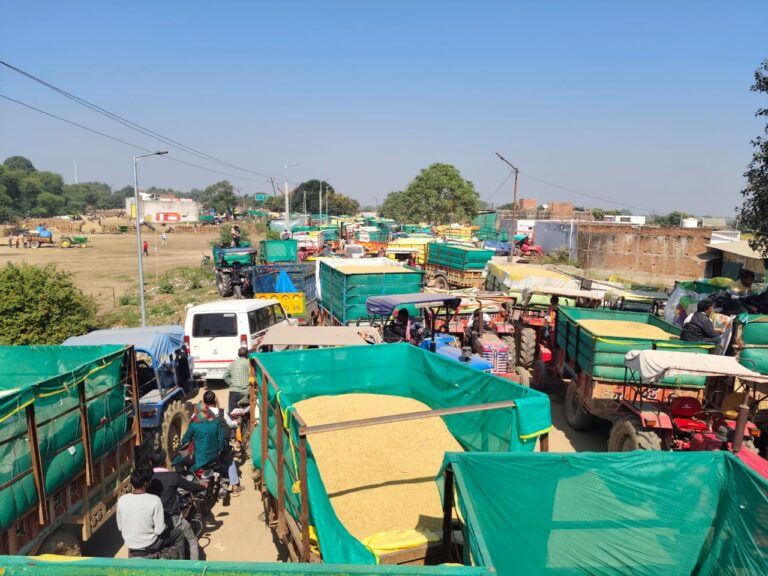 समथर — समथर मोठ रोड स्थित गल्ला मंडी के समीप सड़क किनारे धान बेचने आने बाले ट्रेक्टर ट्रॉली खड़े होने के चलते लगने बाले जाम की समस्या का समाधान नहीं होने से लोग परेशान हैं ।