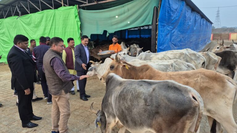 शीतलहर में गोवंश संरक्षण को लेकर जिलाधिकारी ने कान्हा गौशाला का किया निरीक्षण