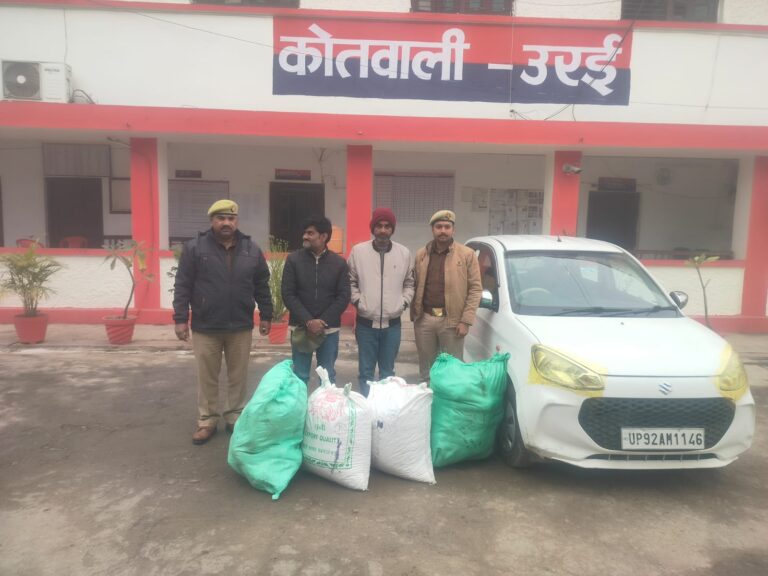 एंटी नारकोटिक टास्क फोर्स और कोतवाली उरई की संयुक्त टीम की बड़ी कार्रवाई, 81 किलो से अधिक गांजा बरामद, दो भाई गिरफ्तार