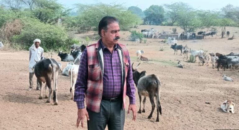 जनपद की गौशालाओं में ठंड से गोवंश के बचाव की समुचित व्यवस्था न मिलने पर होगी सख्त कार्रवाई : जिलाधिकारी मृदुल चौधरी