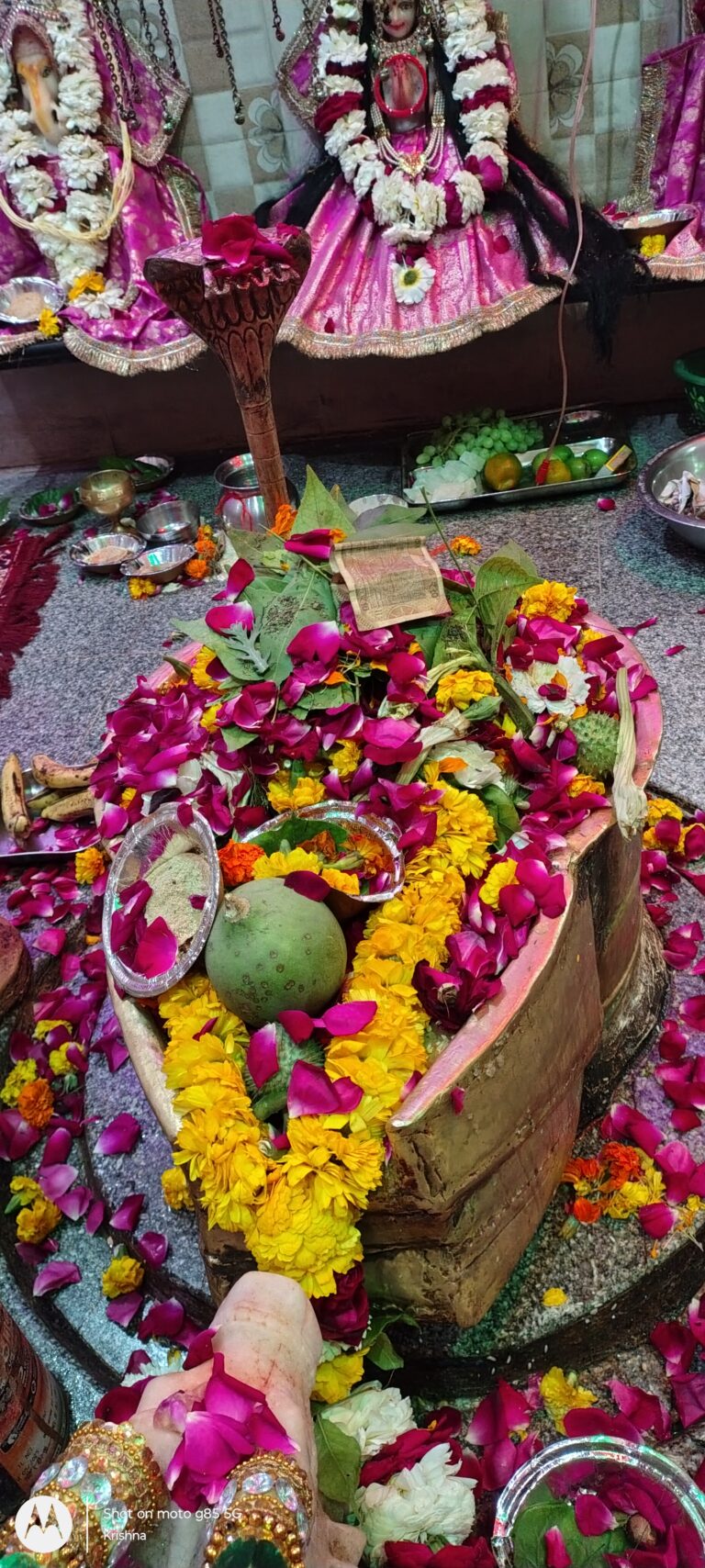 श्री श्री 1008 सर्वेश्वर महादेव मंदिर में महाशिवरात्रि पर उमड़ा आस्था का सैलाब