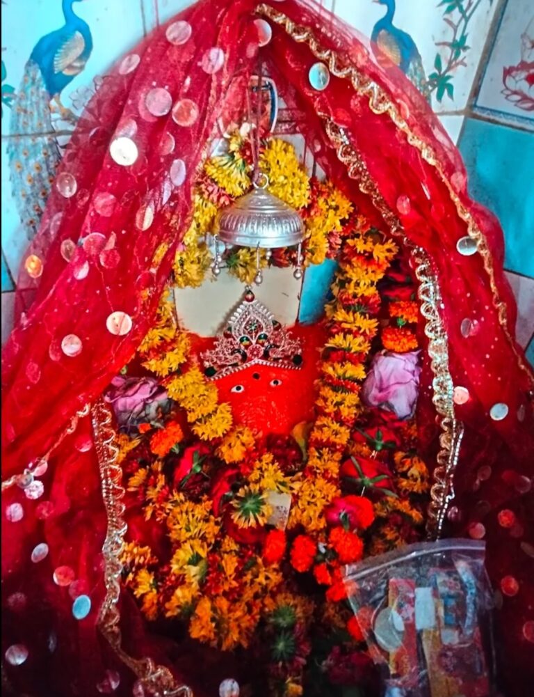 शीतला धाम में श्रीकृष्ण जन्मोत्सव की कथा, भक्ति में डूबा धवार क्षेत्र