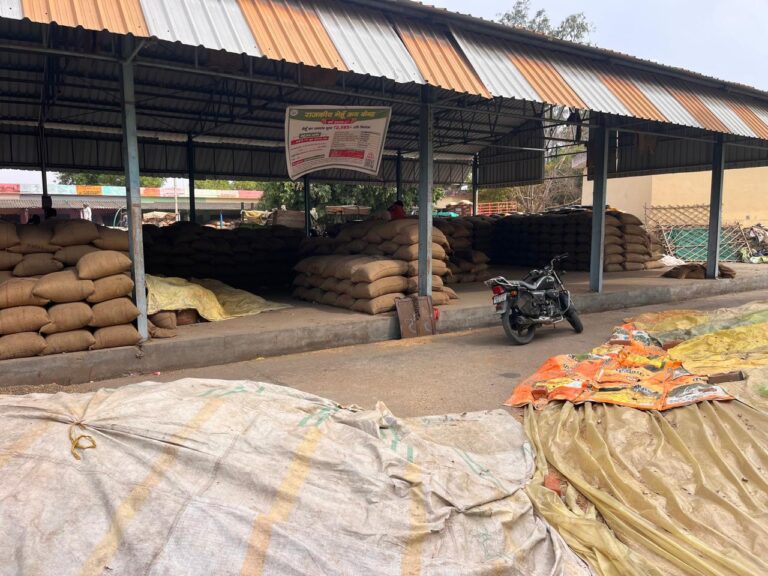 समथर-समथर नगर में गेहूं खरीद केंद्र अब तक शुरू न होने से किसानों की परेशानियां लगातार बढ़ती जा रही हैं। शासन द्वारा निर्धारित तिथि के बाद भी स्थानीय स्तर पर खरीद व्यवस्था शुरू नहीं हो सकी है,