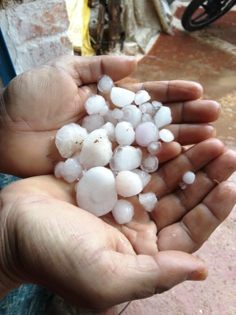 बुंदेलखंड के झांसी जनपद के मोंठ तहसील में तेज हवा , ओले और गरज के साथ हुई बारिश, खेतों में कटी फसल से किसानों की बढ़ी चिंता।