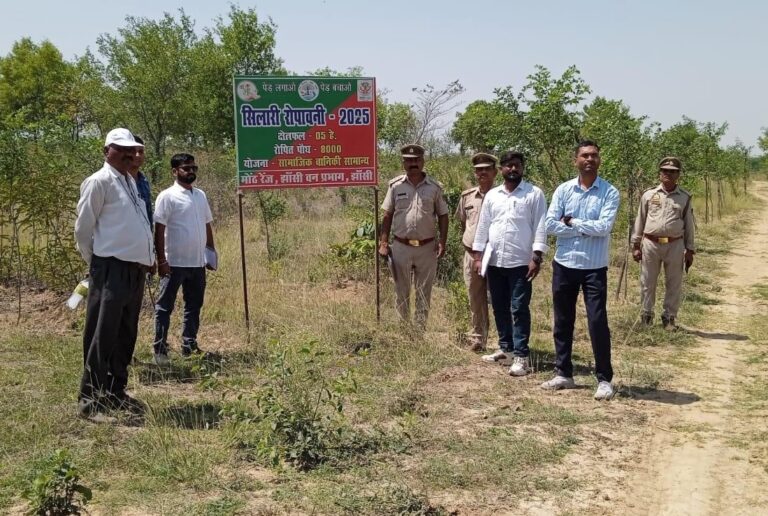 मोंठ वन प्रभाग में वृक्षारोपण स्थलों का निरीक्षण, तकनीकी विशेषज्ञ टीम ने परखी गुणवत्ता