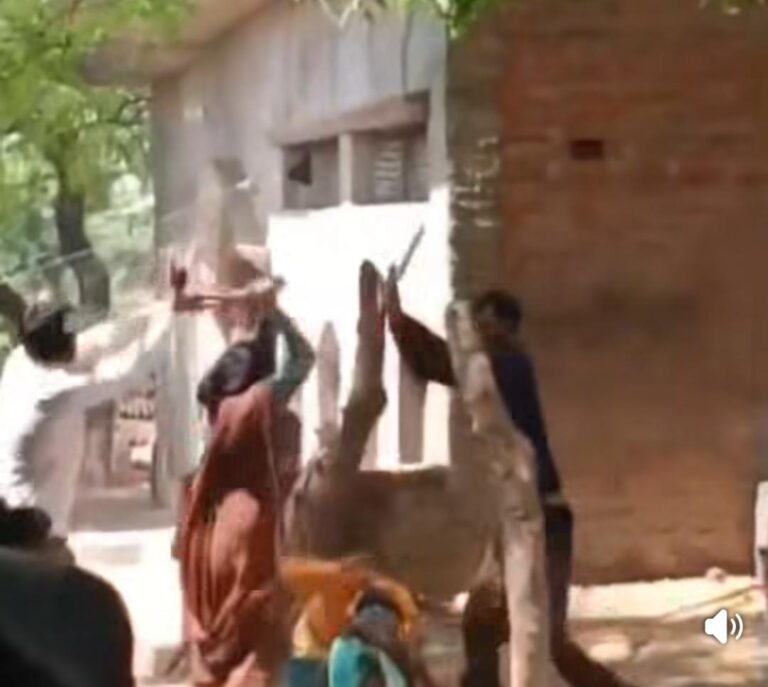 जालौन में मारपीट और दहशत का वीडियो वायरल, पुलिस जांच में जुटी