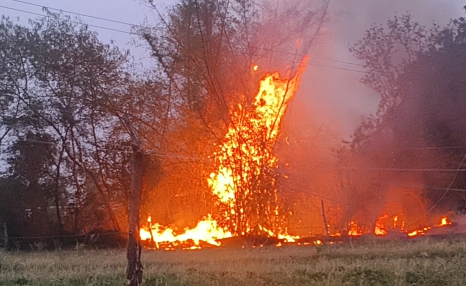 बिजली के तार टूटने से बगिया में लगी आग, एक घंटे की मशक्कत के बाद पाया काबू,.